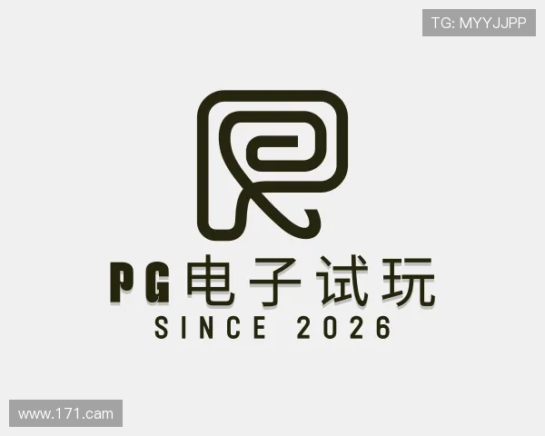 关于pg电子试玩